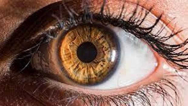 Solo vemos el pasado: nuestro cerebro no procesa las imágenes en tiempo real