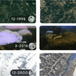Google conmemora el Día de la Tierra con un Doodle que muestra el fuerte impacto del cambio climático