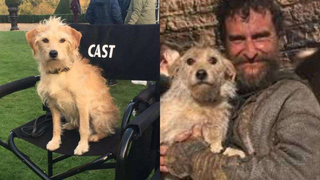 Conoce a Bobby, el perrito actor de ‘House of the Dragon’ que se robó el corazón de los fans