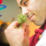 Sony presenta una tecnología inmersiva que permite sentir olores en los videojuegos: ¿Lo aplican a la PS6?